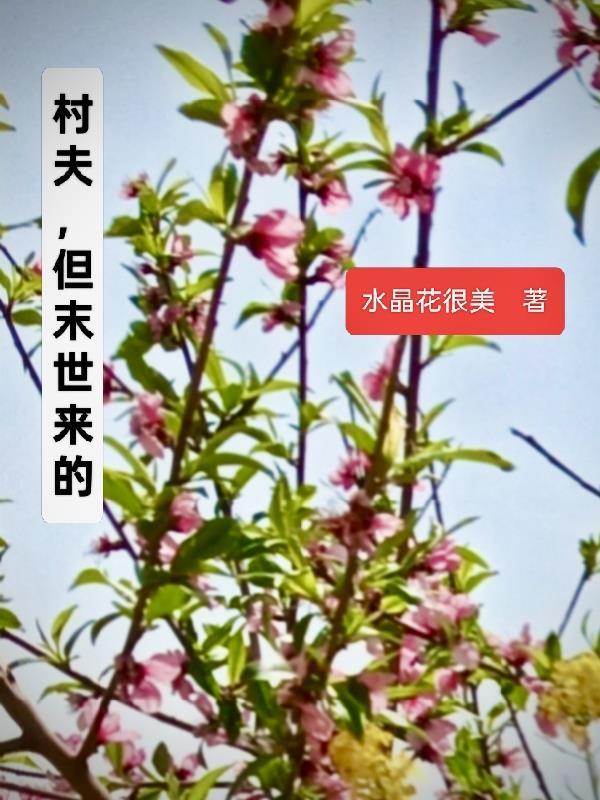 只玩不做封面