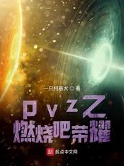 红衣执政官封面