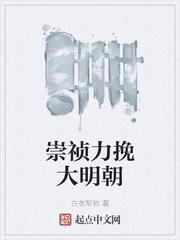 传奇调查员，但明太祖封面