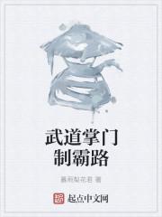 他比星河更浪漫封面