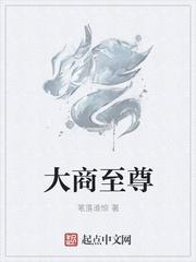 九州苍穹传封面
