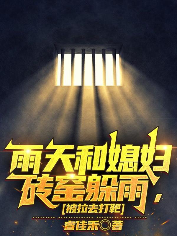 红楼从锦衣卫开始封面