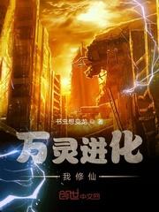 四合院：重生后我能天天开盲盒封面