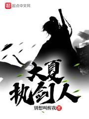 战婿封面