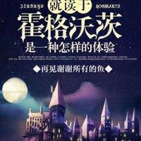 一壶浊酒即江湖封面
