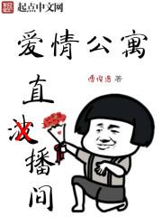 海贼之剑魂之刃封面