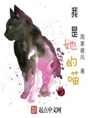 我的孢子分身封面