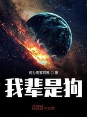 异界新冒险封面