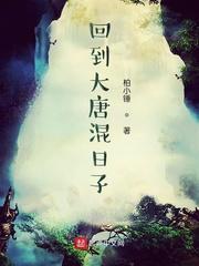 圣天师传说封面