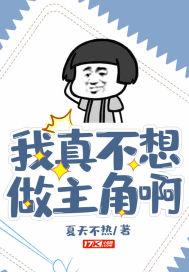 重启游戏时代封面