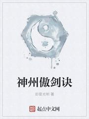 英雄联盟之风影封面