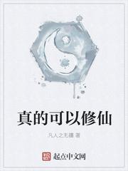 英雄无敌之圣堂崛起封面
