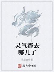 为君整肃乾坤清封面