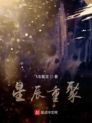 极品佞臣封面