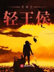 打劫大宋封面