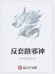 大宋的变迁封面