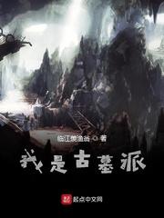穿越之娘子不是正常人封面