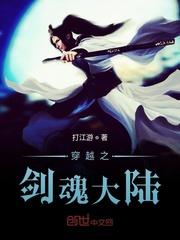 海贼：无限觉醒封面