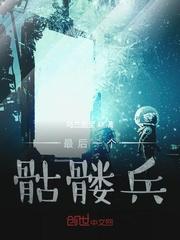 霍格沃兹我的魔法女友赫敏封面