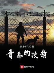 水门甲封面