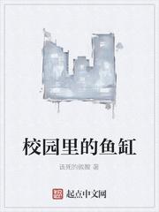 夏末拾忆封面