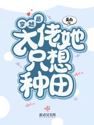心灵之星封面