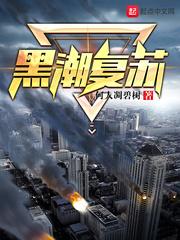 官途：权力巅峰封面