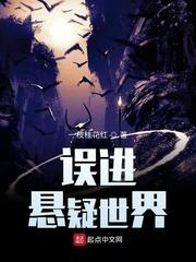 师娘赶我下山封面
