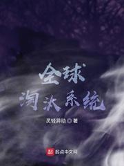 搭伙过日子海彤封面