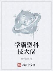洪范荒沙主宰封面