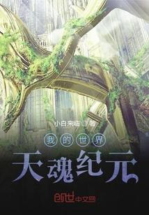 神域（全息网游）封面