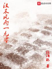 白洛原神之我是至冬使节封面