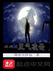 斩尽奸臣后，大明盛世三百年封面