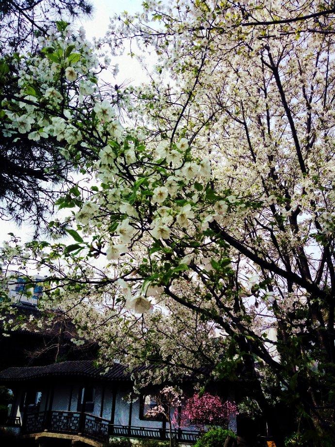 刚准备高考离婚逆袭系统来了笔趣阁TXT全集下载封面