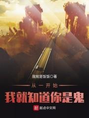 泰初白羽封面