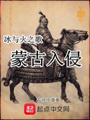汉朝至上封面