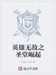 嫁给温先生第五年封面