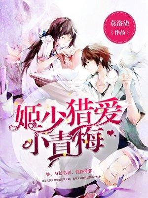 赤脚医仙封面