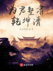 霸天邪皇全集封面