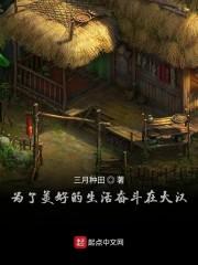 天之炽（合集）封面