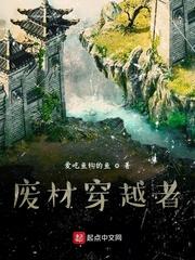宁远宁姚封面