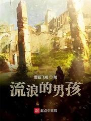 陆风叶玉璃封面