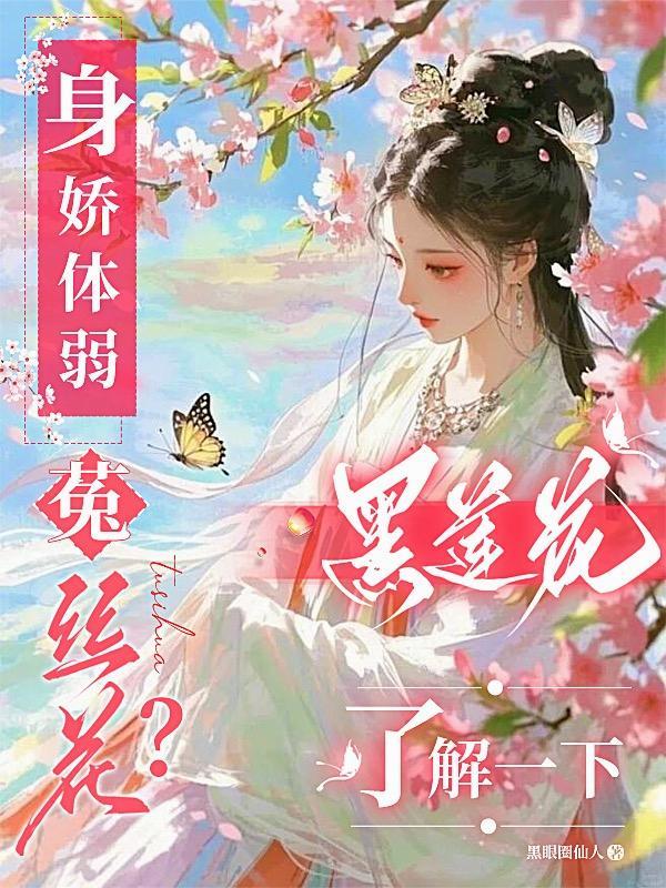 飘渺飞仙录封面