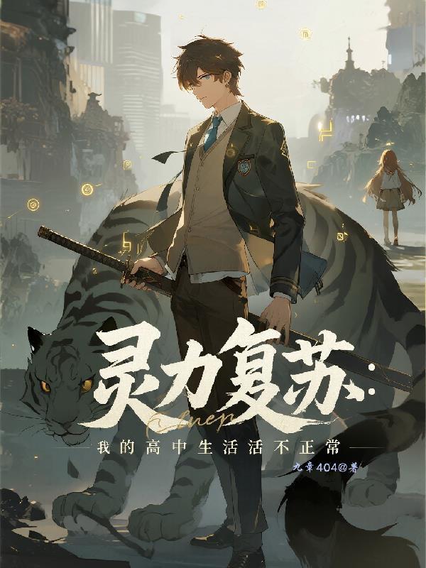 寂灭星芒封面