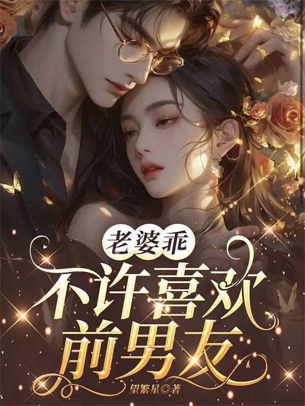 风流帝皇封面