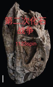 吞天记：女神让我榨干诸天封面