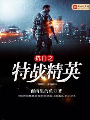 白衣披甲封面
