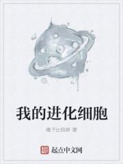 火鸦神仙封面