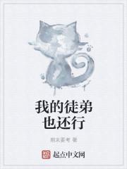 当魏无羡穿越回过去封面