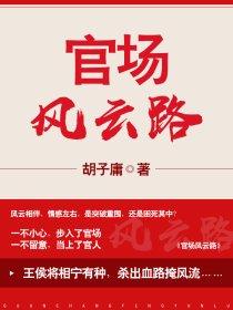 疯书生无敌剑封面